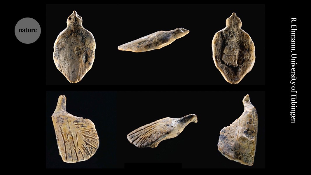Novas Esculturas de Aves de 40.000 Anos Desvendam Chaves para a Sobrevivência Humana na Era do Gelo