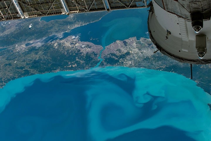 O Enigma Azul-Turquesa do Mar Negro: Revelando o Impacto do Fitoplâncton no Clima Global