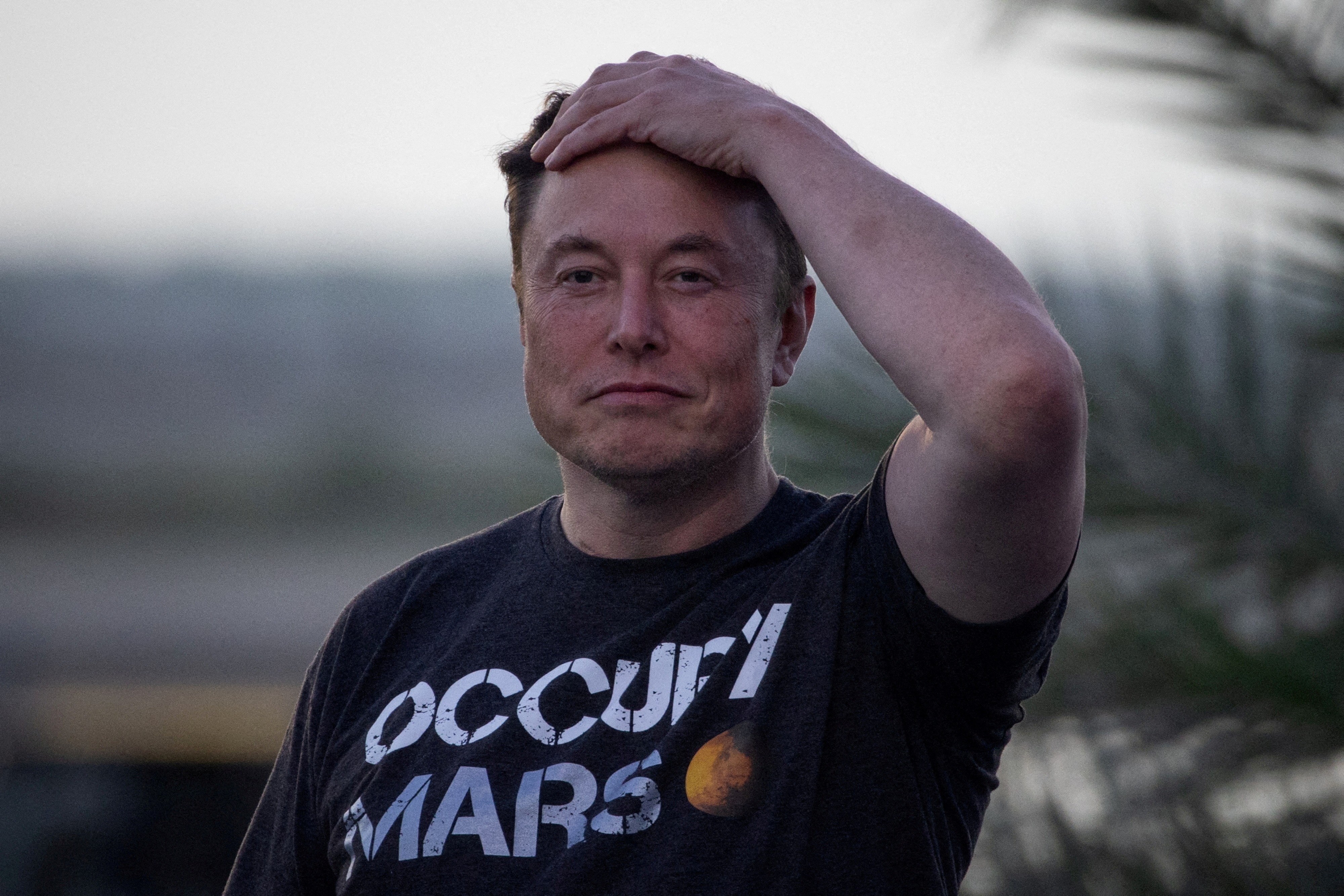 Tesla e o Preço da Disrupção: Por Que a Aposta em IA Redefine o Jogo Financeiro