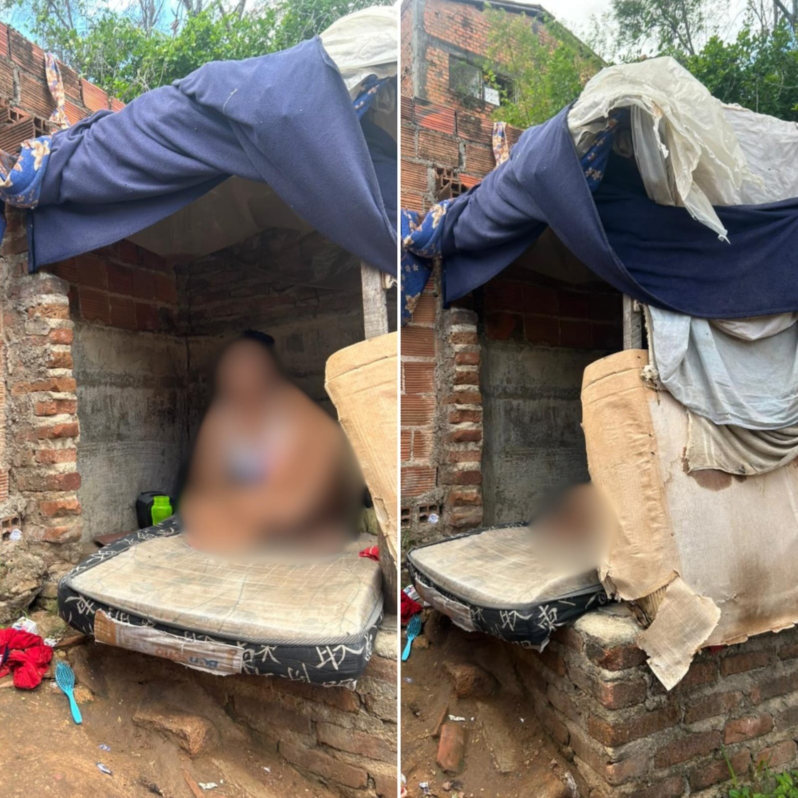 Liberdade Provisória em Caso de Cárcere e Tortura em Canil Reacende Debate em Alagoas