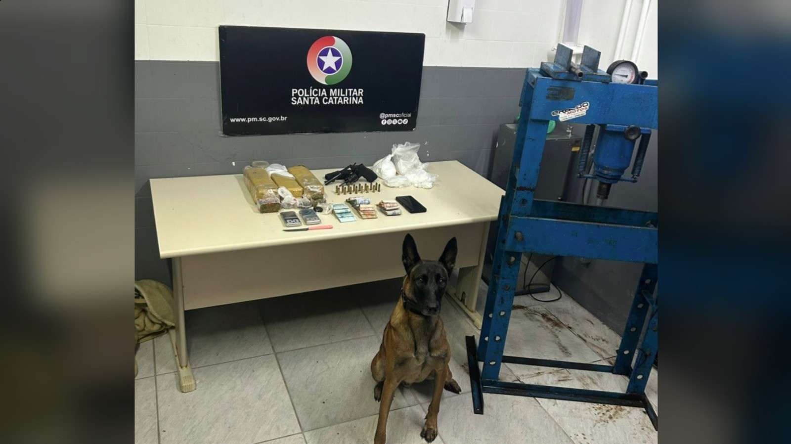 Criciúma: O Resgate que Expõe Redes Criminosas e Ações Virtuosas em Meio à Insegurança Regional