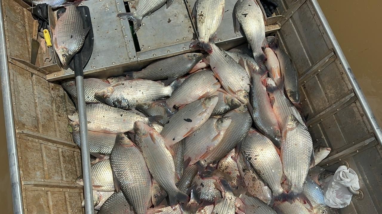 Amapá: A Teia Socioeconômica dos Quase 29 Mil Pescadores Artesanais