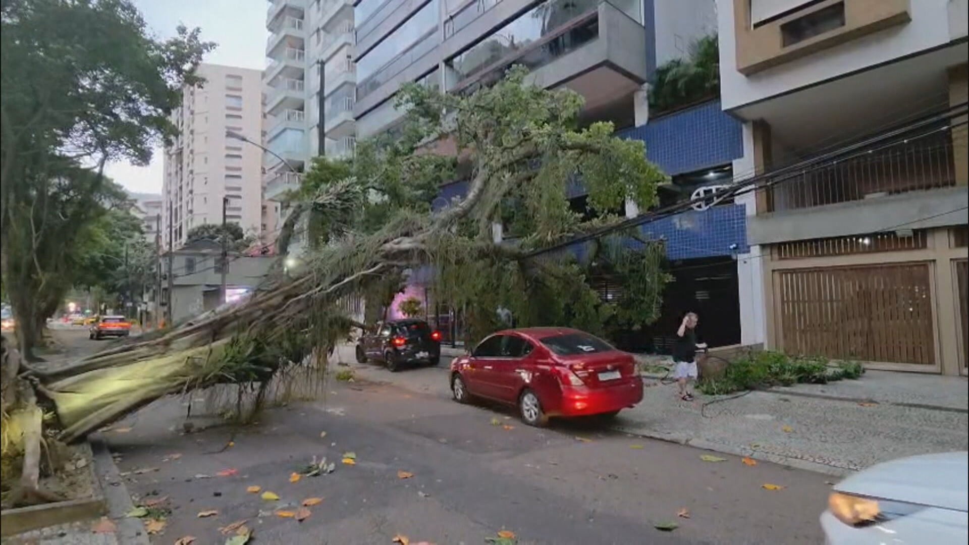 Vendaval no Rio Expõe Fragilidades Crônicas na Infraestrutura Urbana