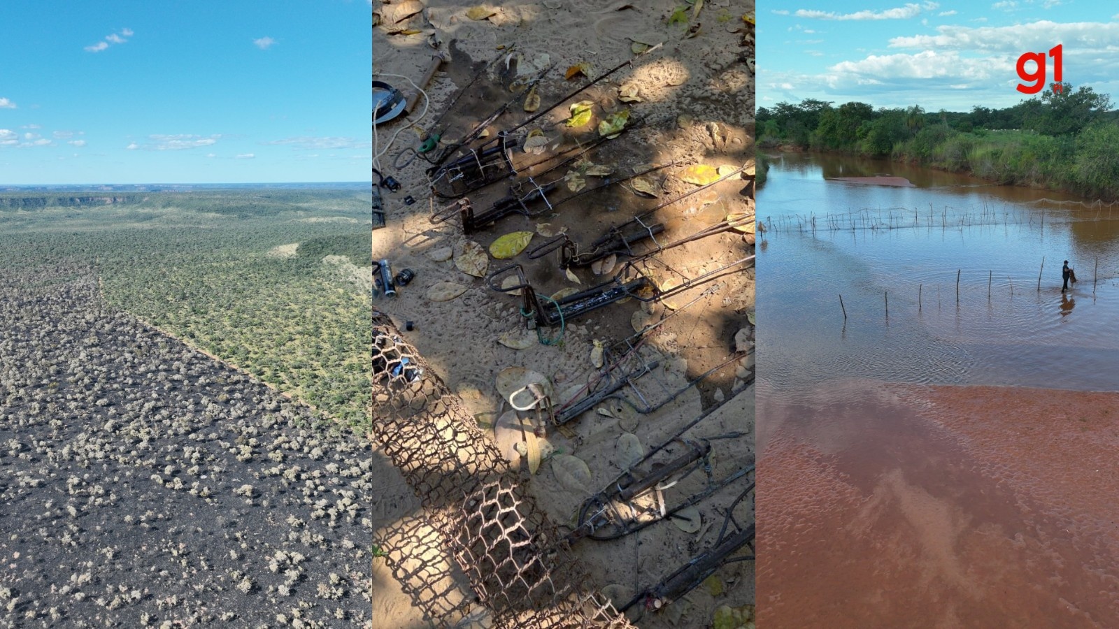 Fiscalização no Sul do Piauí Expõe Vulnerabilidade Ecológica e Social da Região