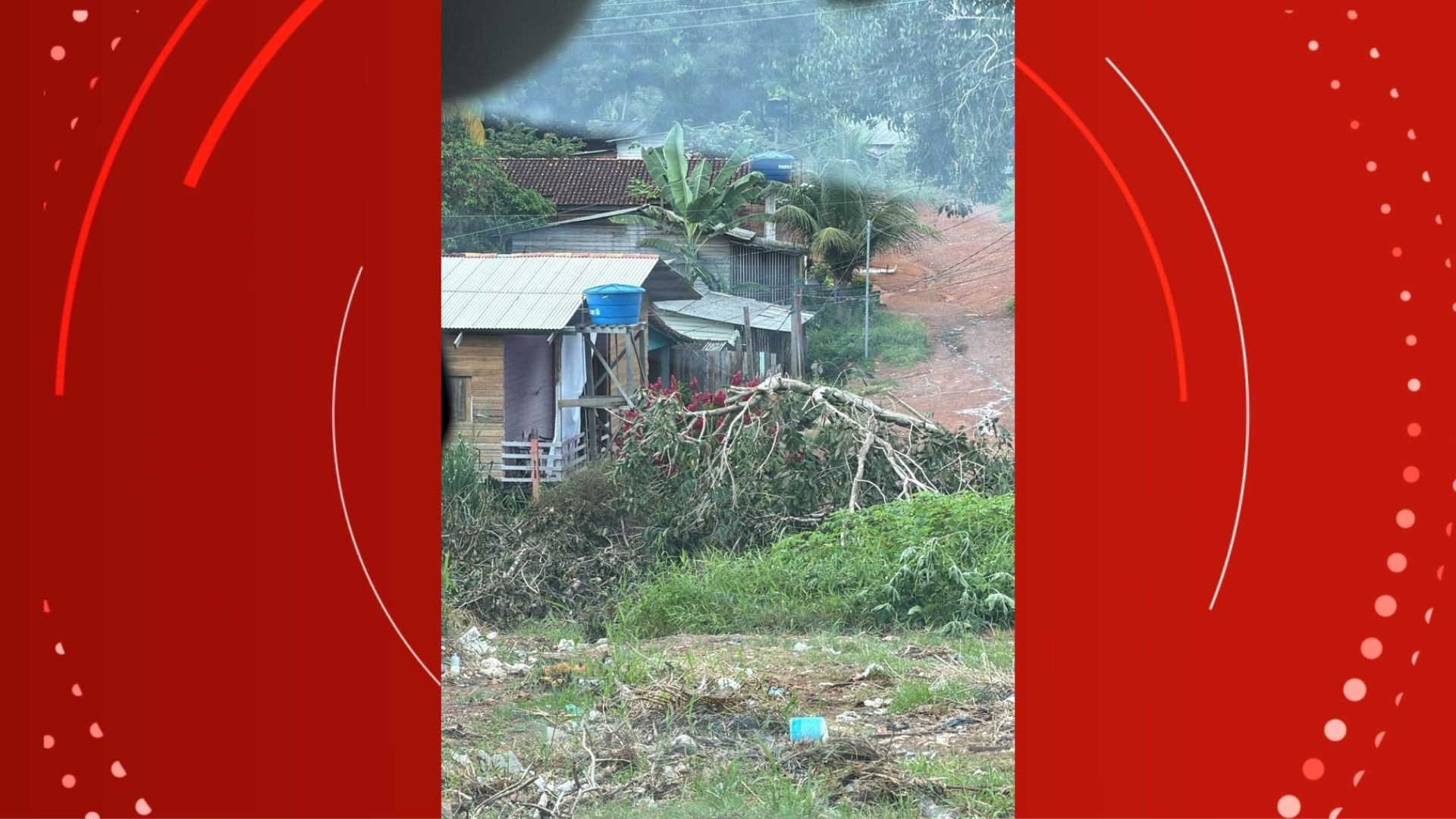 Infraestrutura Urbana de Macapá em Alerta: Ameaça de Queda de Árvore Expõe Fragilidades Críticas na Rede Elétrica