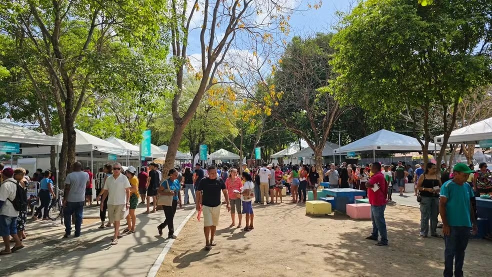 Assembleia em Ação: Uma Análise do Impacto Social e Cidadania na Zona Sul de Teresina