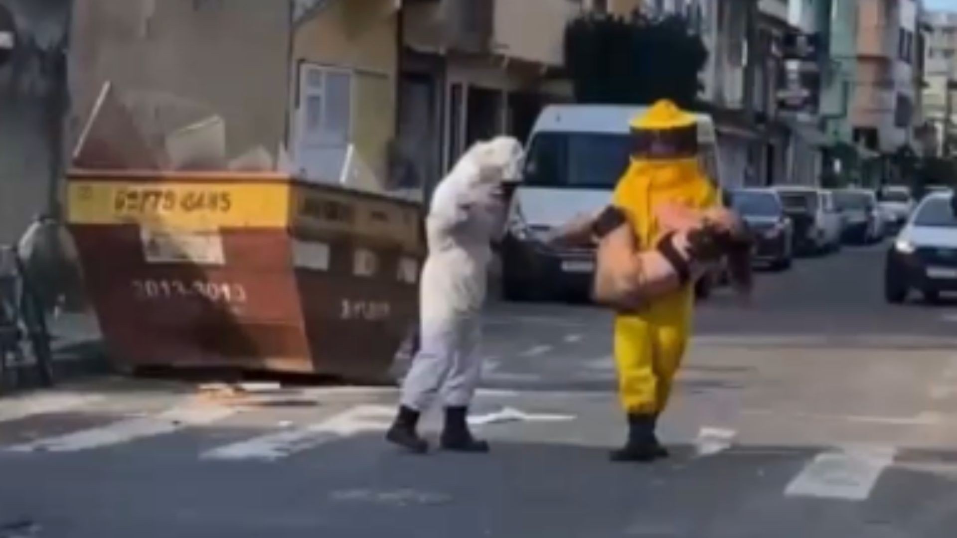 Ataque de Abelhas em Vila Velha: Um Alerta Crítico para a Segurança e Gestão Urbana na Grande Vitória