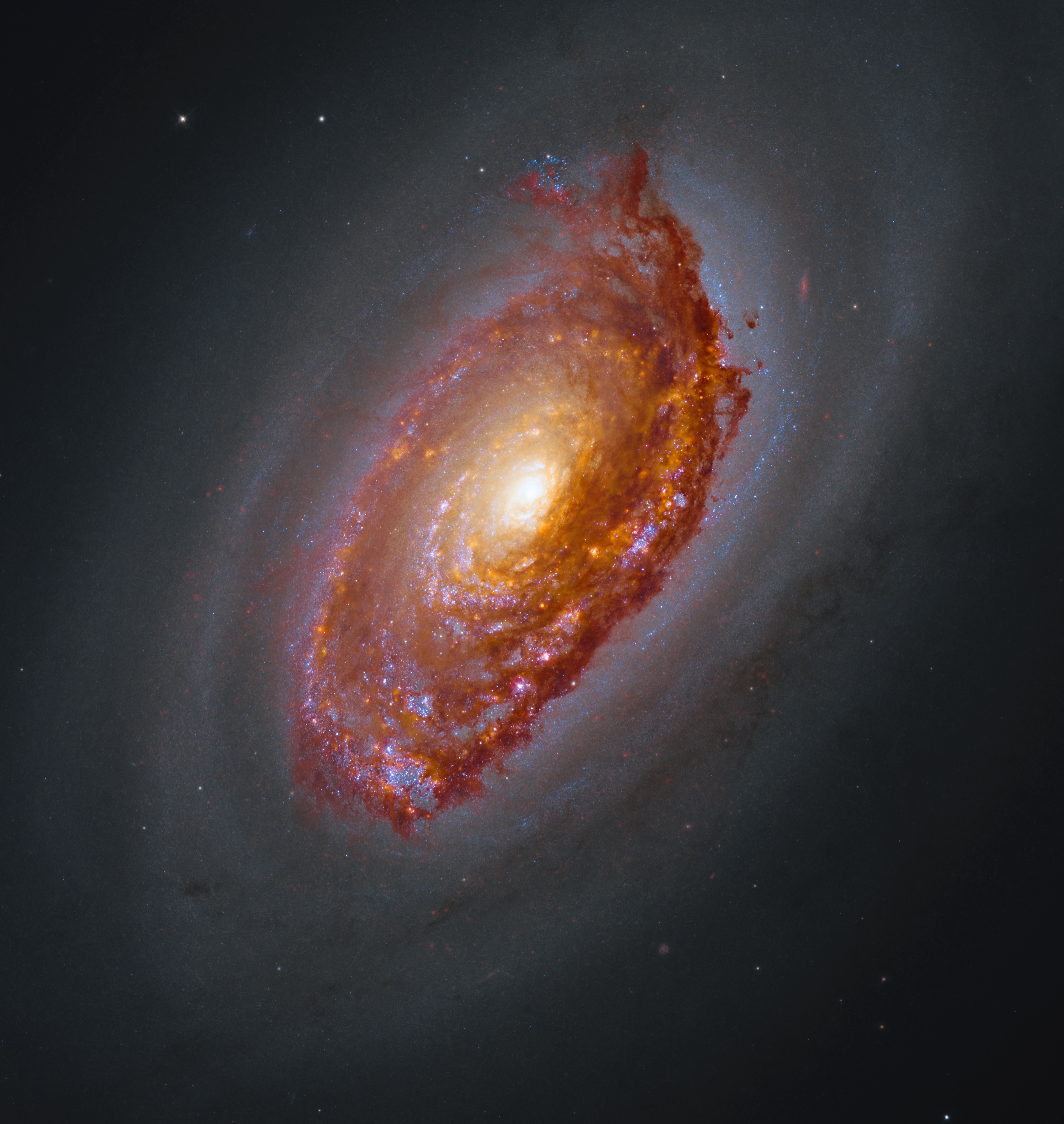 James Webb e Hubble Desvendam Dinâmica Invertida na Galáxia Olho Negro