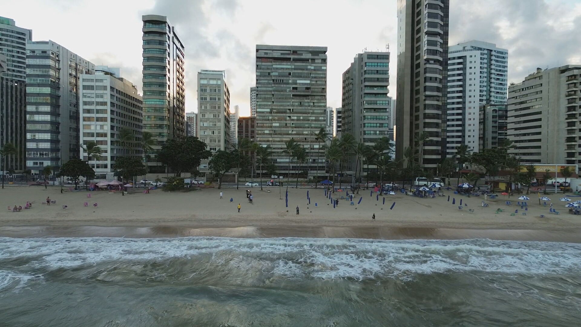 Pernambuco em Alerta: Decifrando a Perigosa Concentração de Tubarões no Litoral do Grande Recife