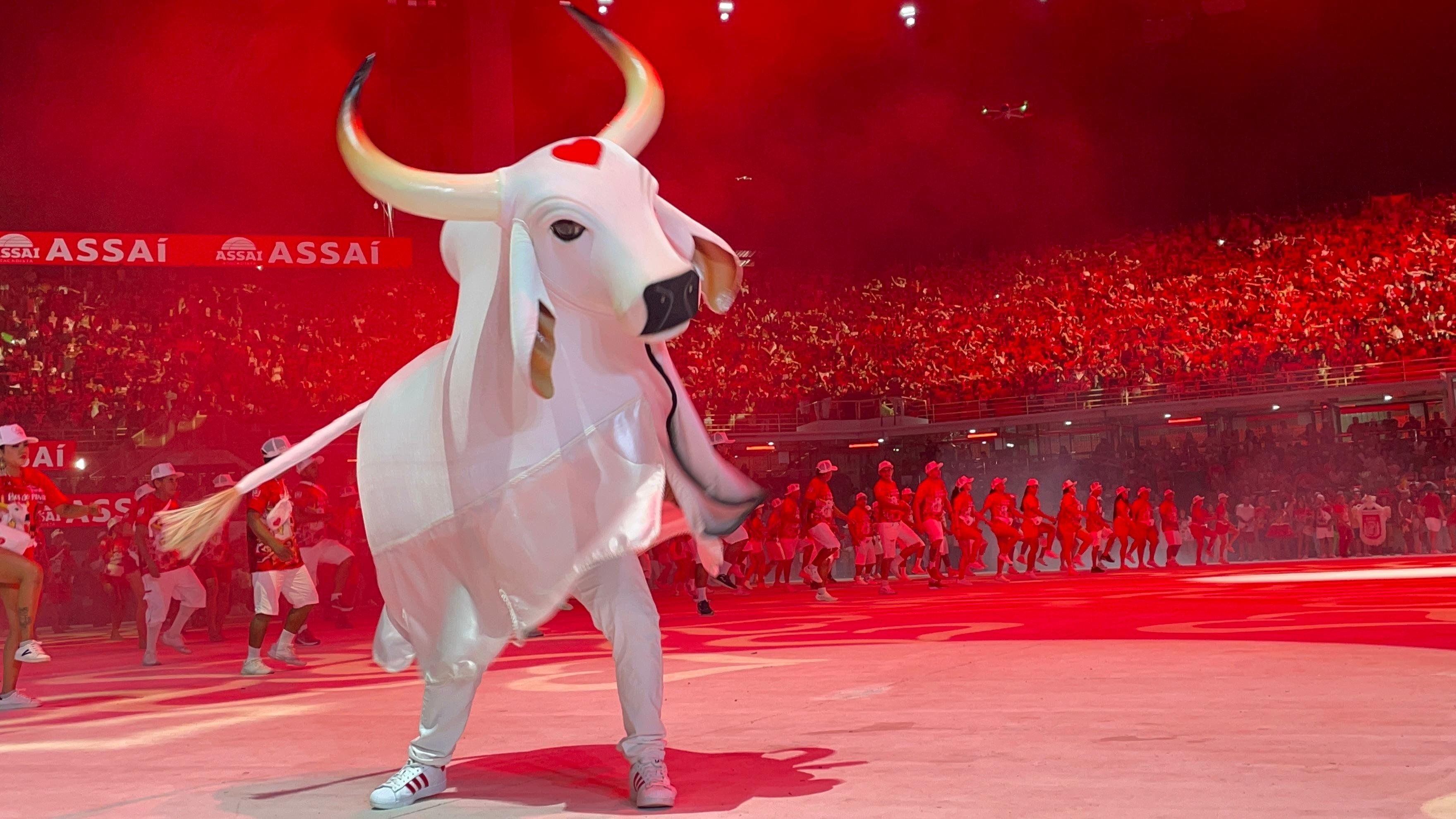 Boi Garantido Anuncia Álbum e Sinhazinha: O Pulso Vital da Economia Cultural de Parintins