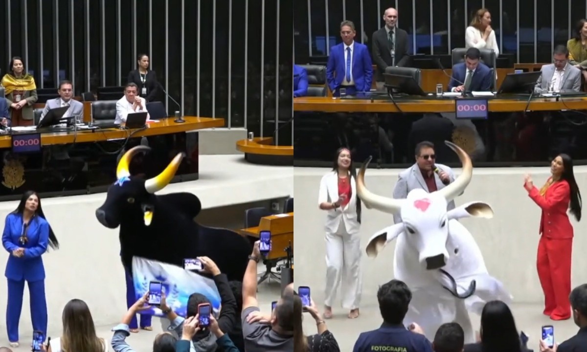 Homenagem em Brasília: O Marco Político do Festival de Parintins para o Desenvolvimento Regional