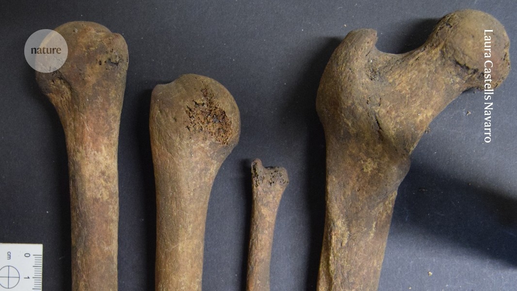 Ossos Humanos Transformados em Ferramentas na Idade do Ferro: Uma Nova Visão de Rituais e Recursos