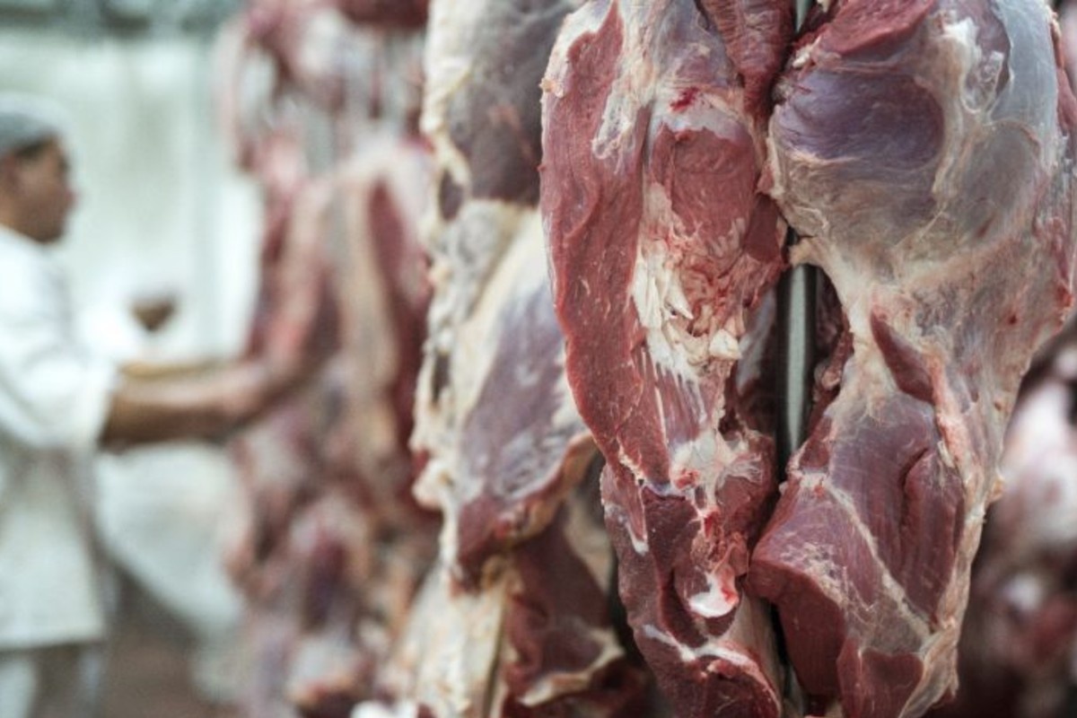 Exportação de Carne Bovina para a China Atinge Cota: Desafios e Oportunidades no Agronegócio