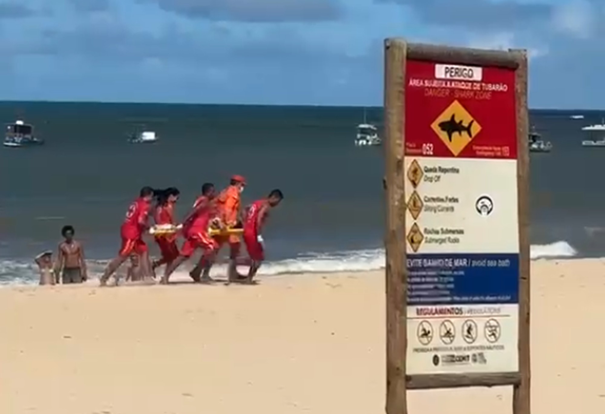 Ataques de Tubarão: A Complexa Realidade Brasileira e o Cenário de Risco em Pernambuco