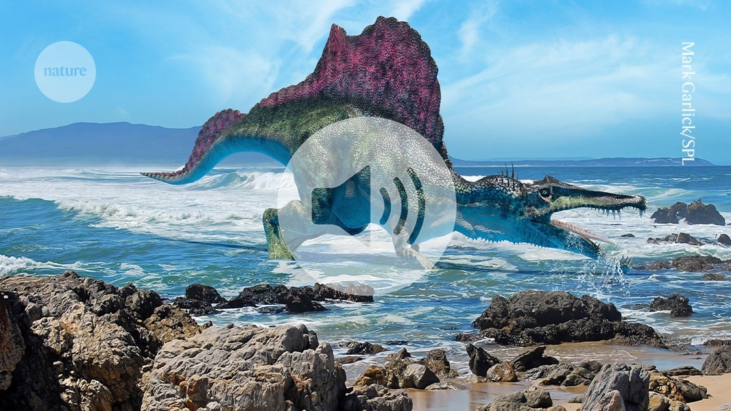 Descoberta de Glândulas de Sal em Espinossauros Redefine Seu Habitat Pré-Histórico