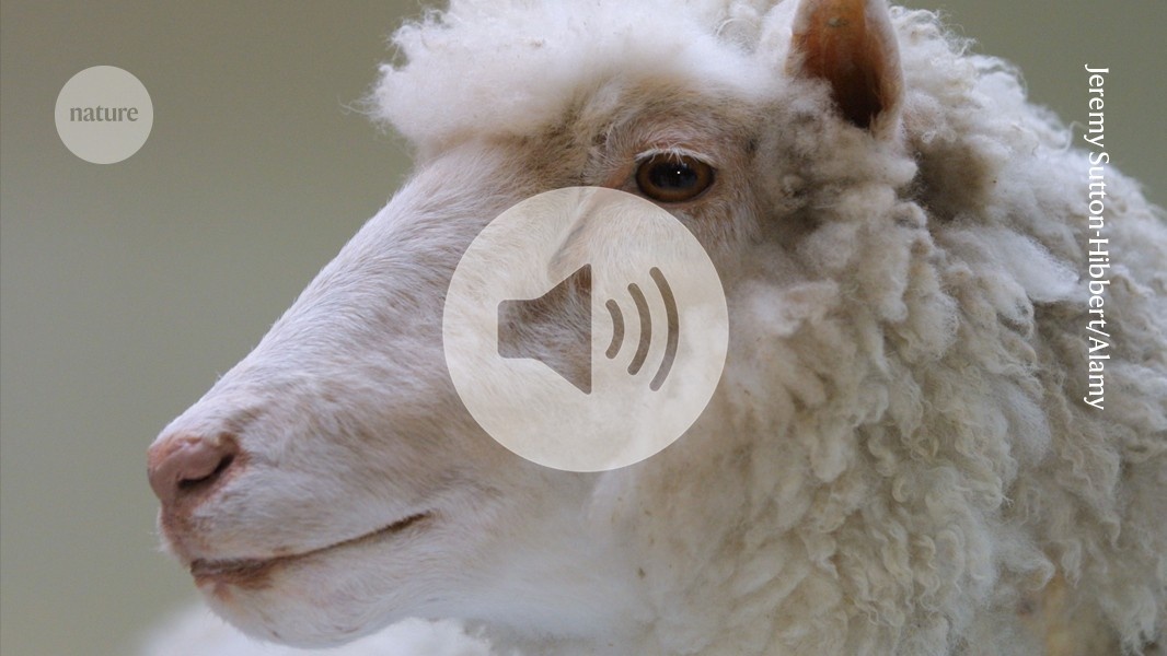 Dolly, 30 Anos Depois: O Legado Revolucionário que Redefine a Biologia Humana