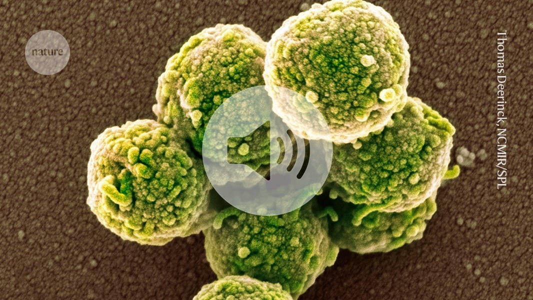 Desvendando as "Células Zumbi": A Nova Fronteira Contra o Envelhecimento e Doenças Crônicas