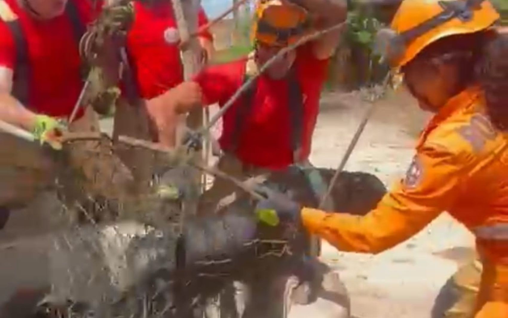 O Resgate em Cristinápolis: Um Alerta Estrutural e Comunitário para a Segurança Hídrica no Interior Sergipano