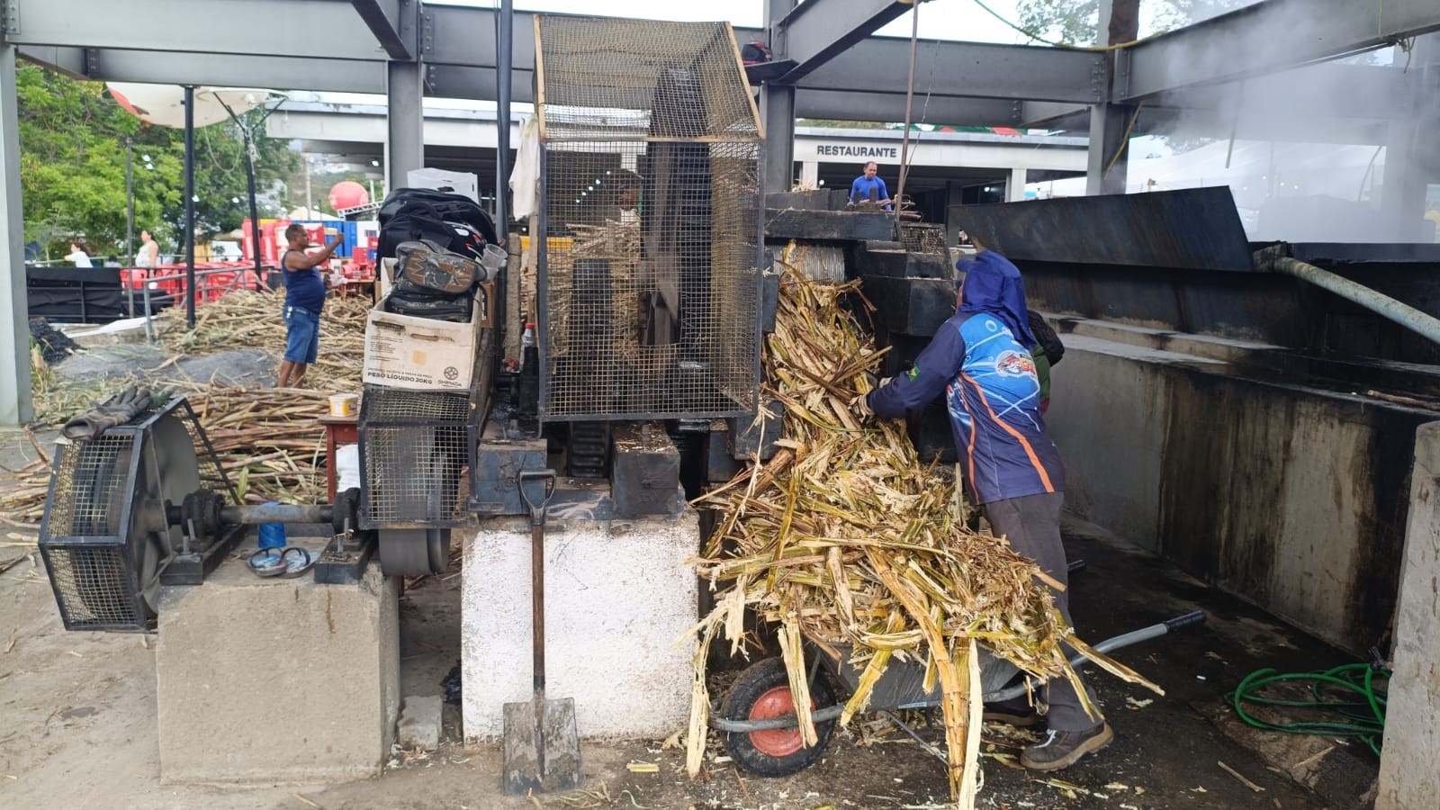 Expocrato: O Engenho da Cana-de-Açúcar como Pilar da Cultura e Economia do Cariri