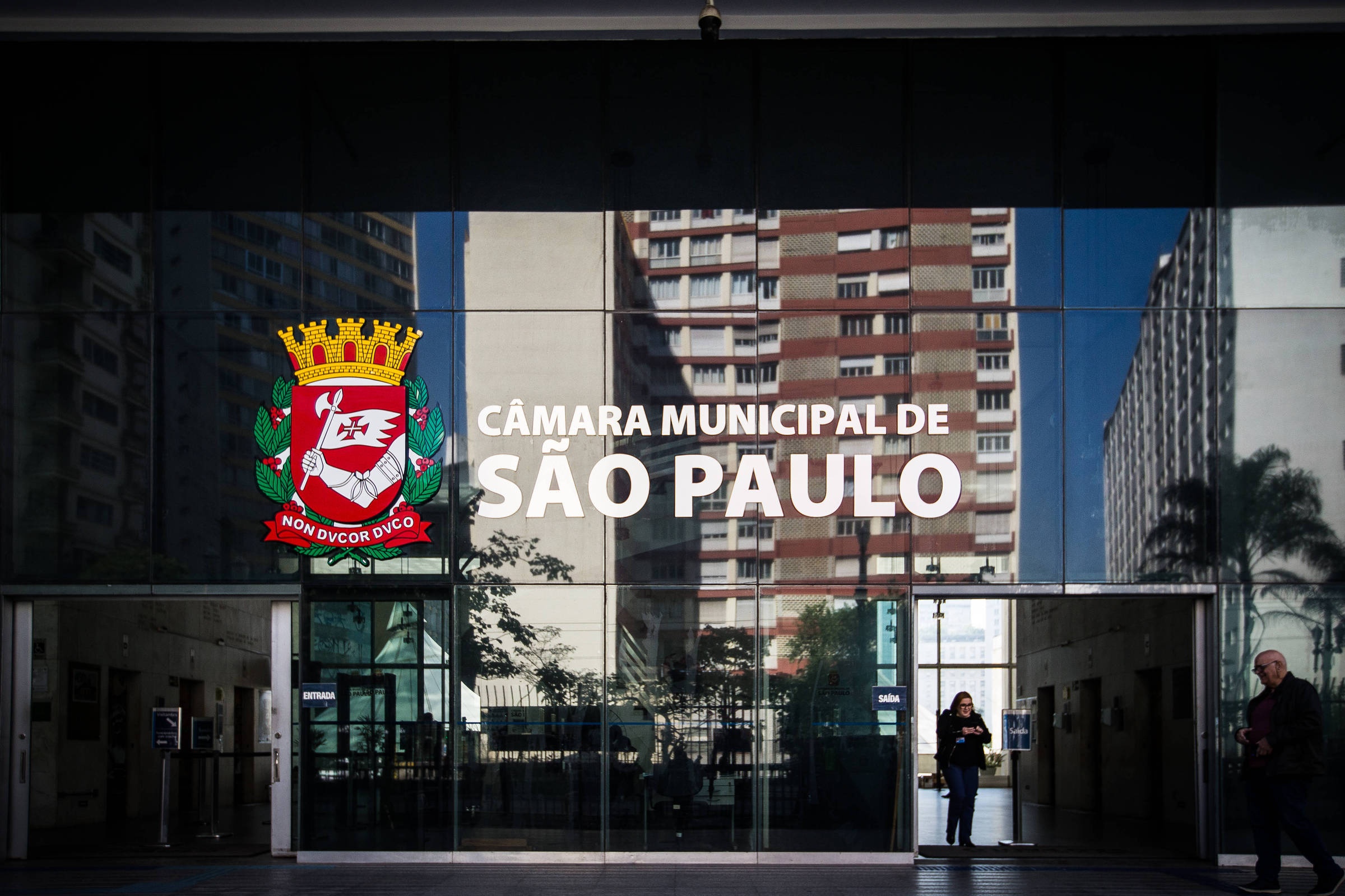 Câmara de SP: Desinsetização em Dia de Jogo da Copa e a Percepção do Serviço Público