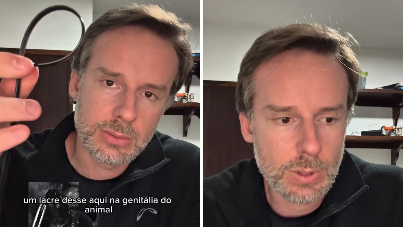 Mutilação Brutal de Cão Comunitário em Jaraguá do Sul: Um Alerta Sobre o Declínio da Ética Social