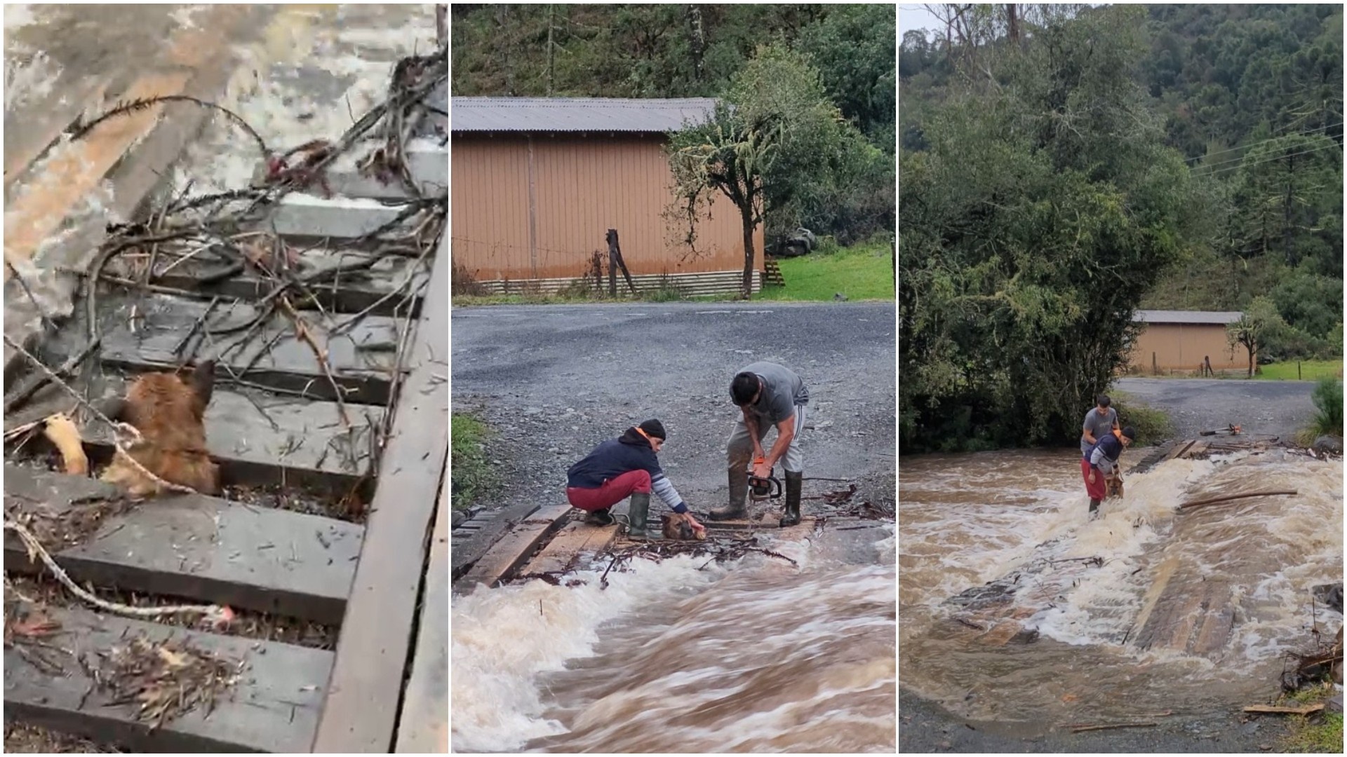 Urubici sob Água: Resgate de Cão Revela Fragilidades Infraestruturais e a Força da Resiliência Comunitária em SC