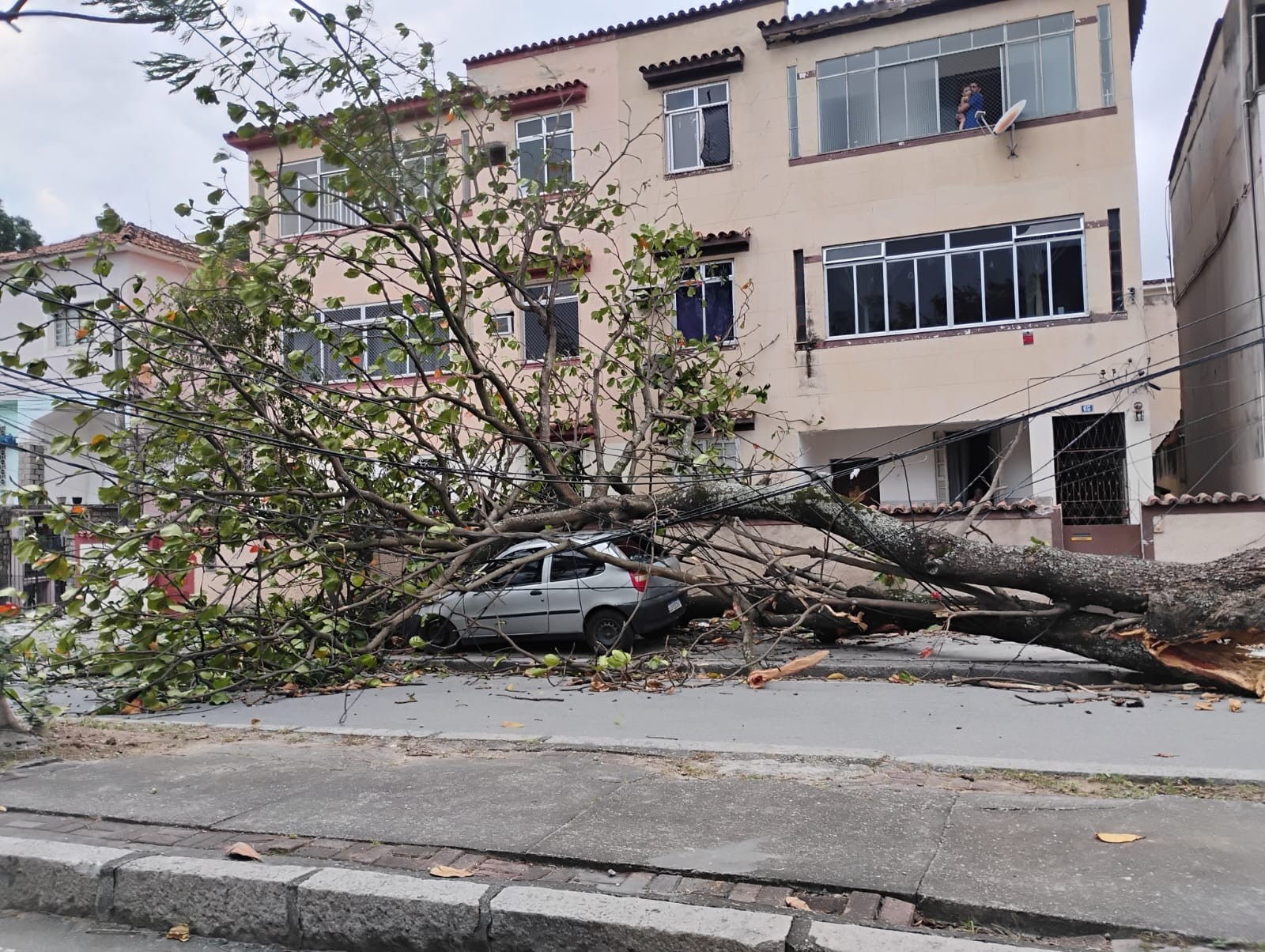 Megaventania no Rio: A Exposição da Infraestrutura Urbana à Crise Climática