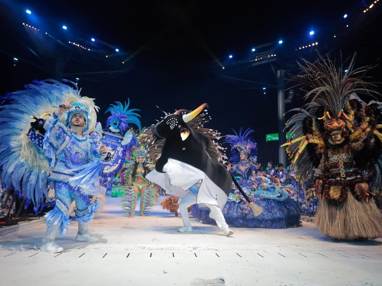 Vitória do Caprichoso: Análise do Impacto Cultural e Solidário da Festa em Manaus