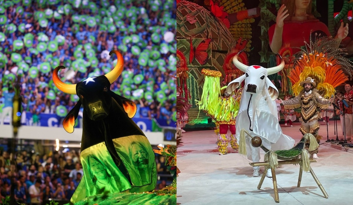 Parintins: Além do Espetáculo – Como o Festival Molda a Economia e a Identidade Amazônica