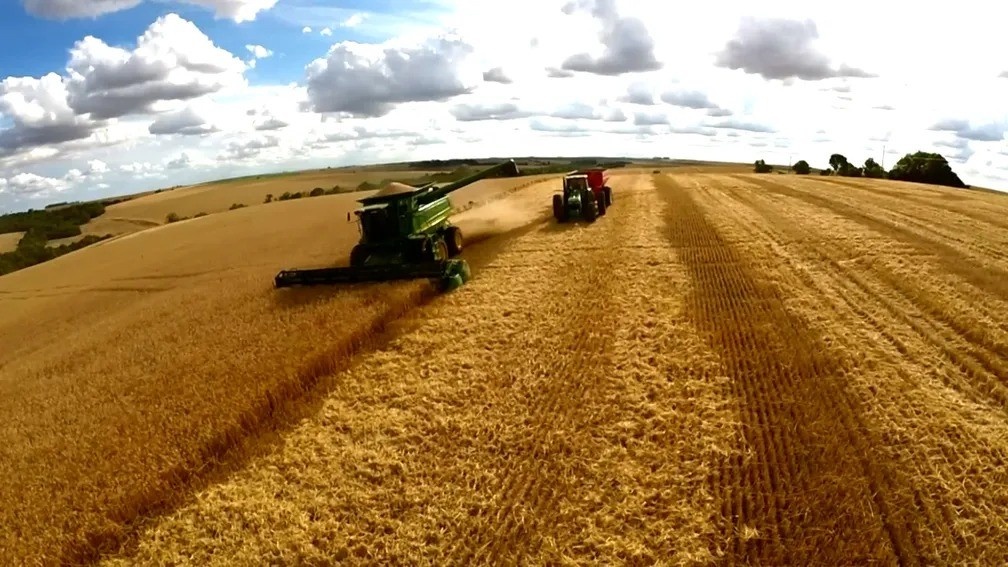 Gargalo Logístico e Diplomacia Sanitária: O Impacto da Suspensão da Cargill nas Exportações de Soja do Brasil para a China