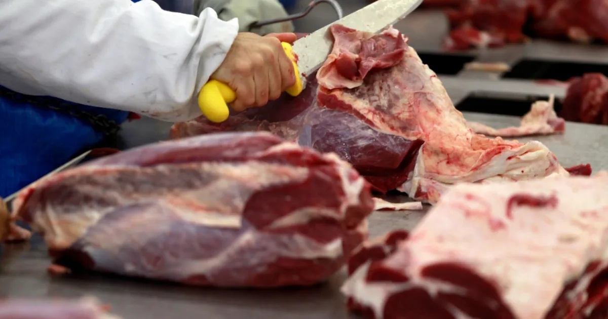 Escalonamento Tarifário Poupas Carne Bovina Brasileira nos EUA: Análise das Implicações Geopolíticas e Econômicas