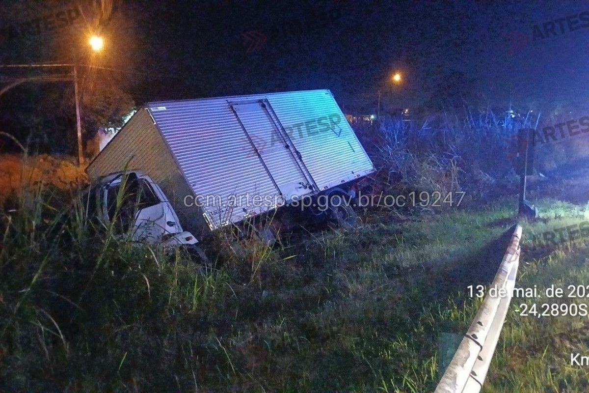 Morte de Cavalo em Rodovia Paulista Evidencia Falhas Críticas na Segurança Viária
