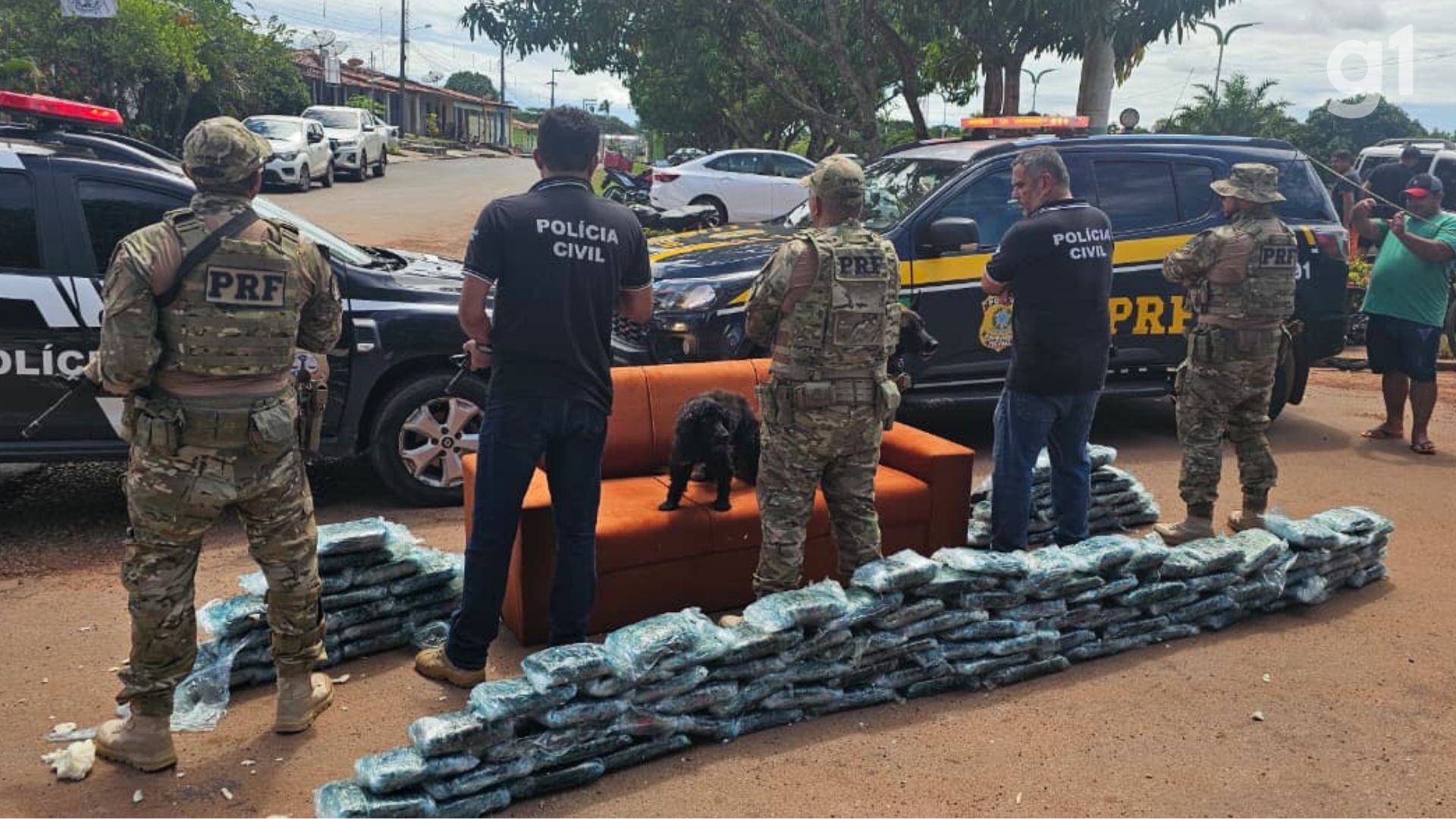Apreensão de 120 Kg de Drogas na BR-135: A Anatomia de uma Rota Criminosa e seus Efeitos Regionais