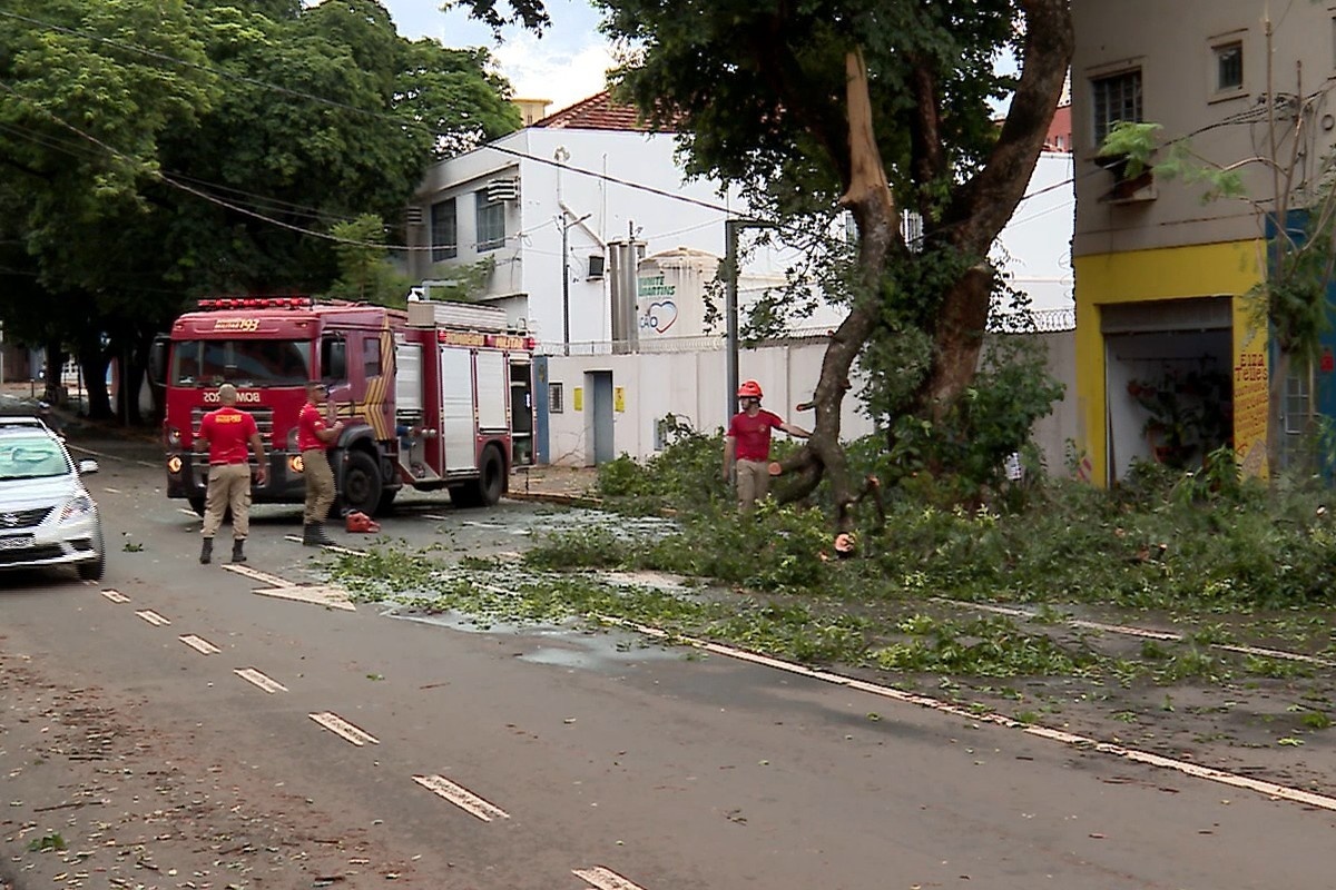 Análise Exclusiva: Campo Grande e o Desafio da Resiliência Urbana frente a Eventos Climáticos Extremos