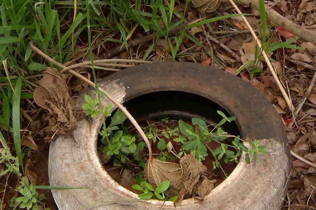 Chikungunya em Dourados: Alerta de Epidemia na Maior Reserva Indígena de MS Expõe Crise Sanitária e Estrutural