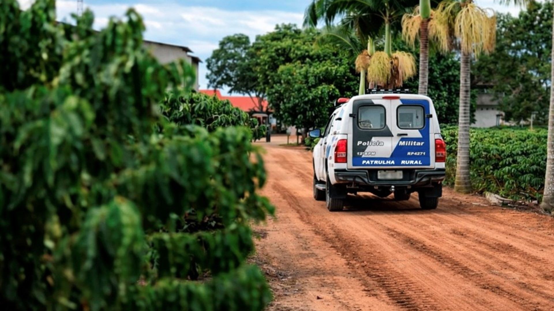 Ameaça Rural: Como a Insegurança no Campo Capixaba Reconfigura o Agronegócio e a Vida do Produtor