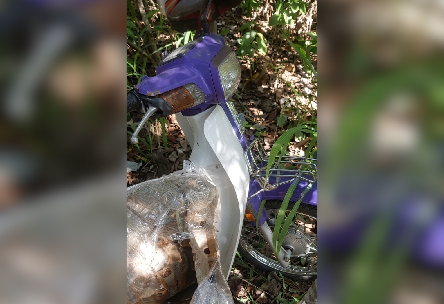 Tragédia em Monte do Carmo: Morte de Comerciante em Fossa Expõe Vulnerabilidade Rural