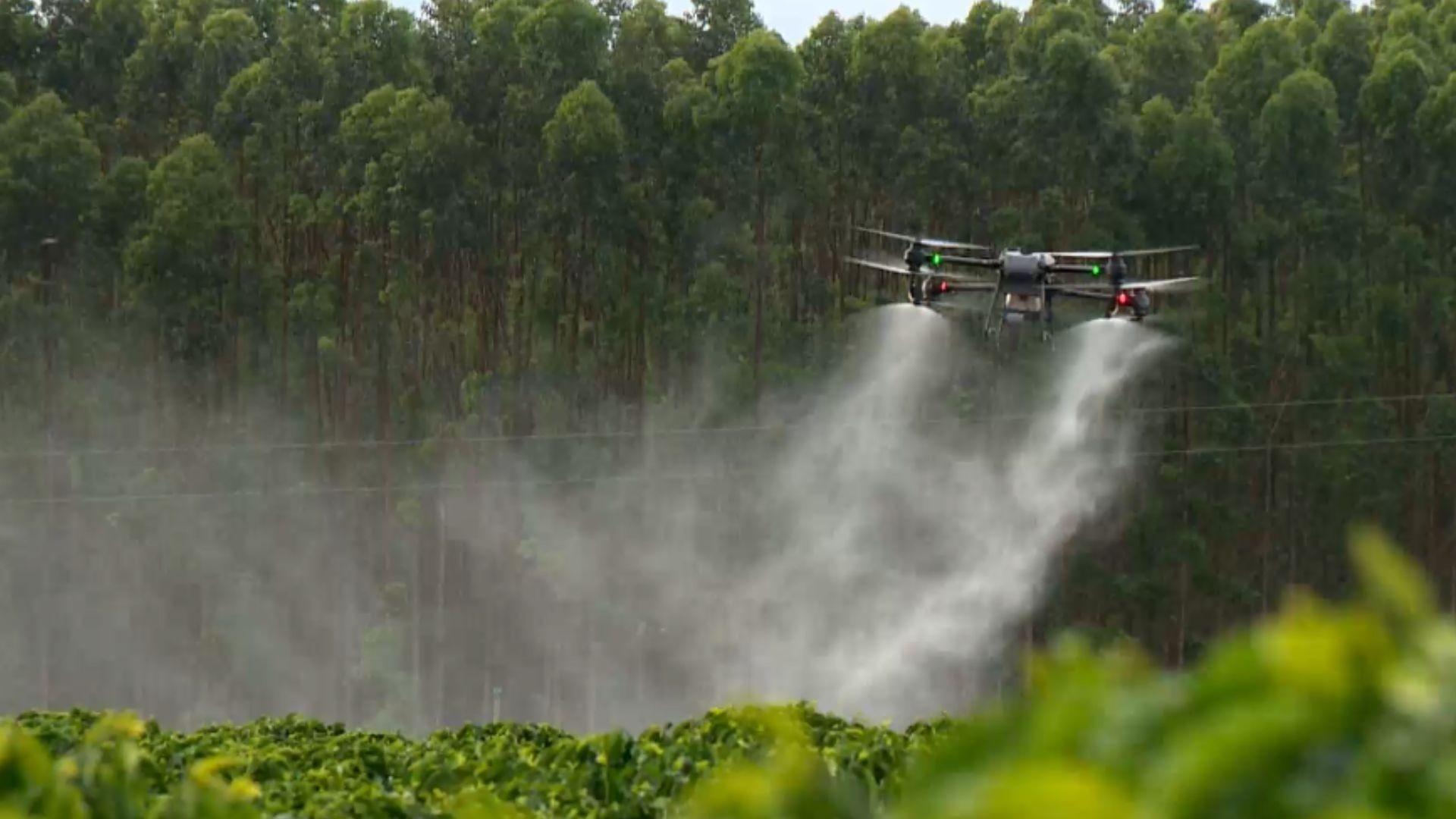 A Revolução Silenciosa do Campo Capixaba: Como a Tecnologia Redefine o Futuro Rural no ES