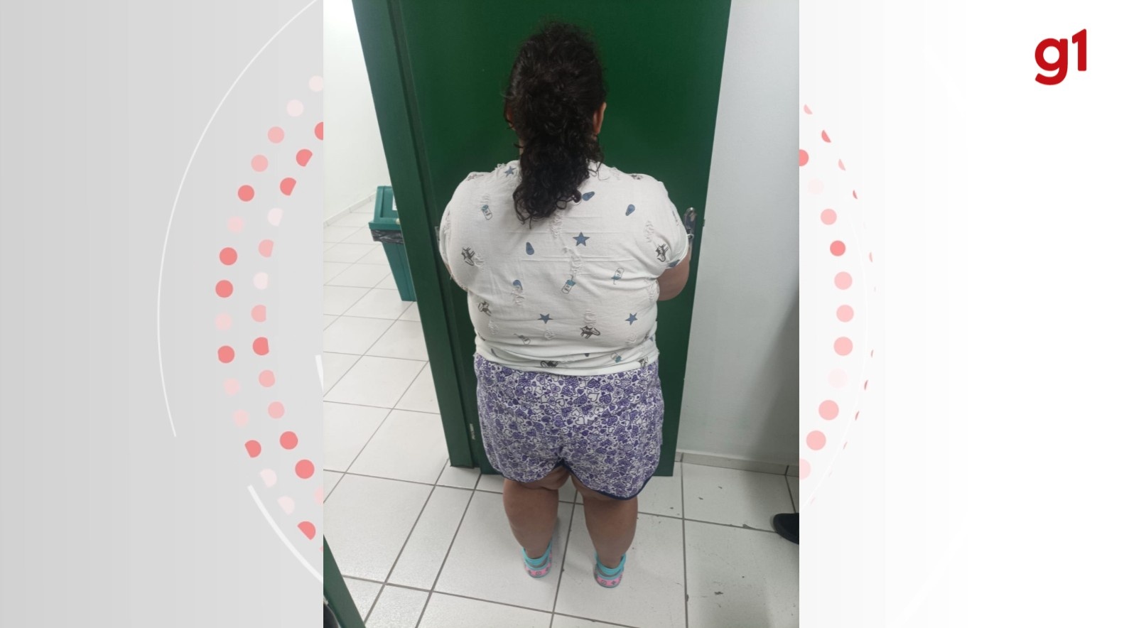 A Farsa Multiestadual: Vulnerabilidade e Confiança no Caso da Falsa Adolescente em SC