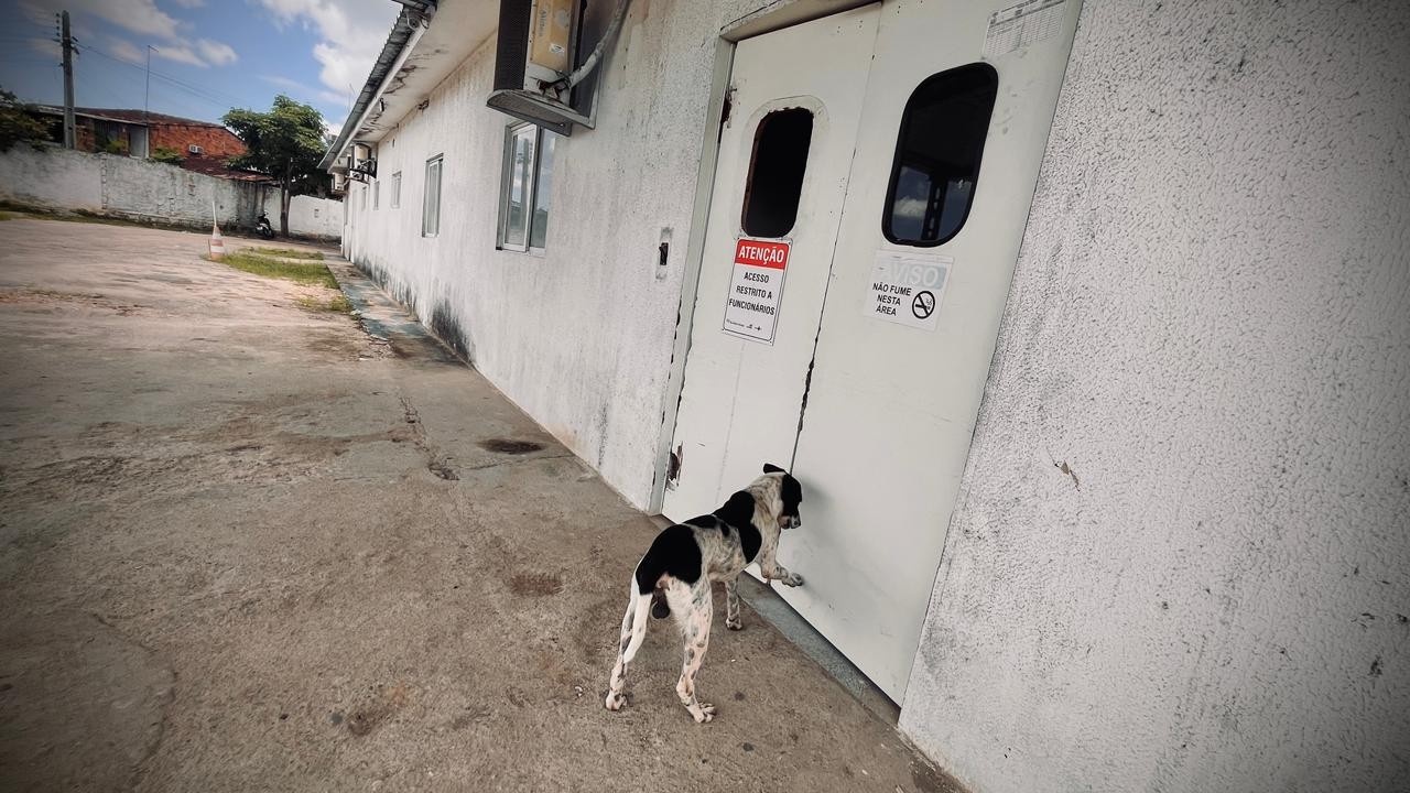 Fidelidade em Rio Largo: O Caso Marley e o Tecido Social Alagoano