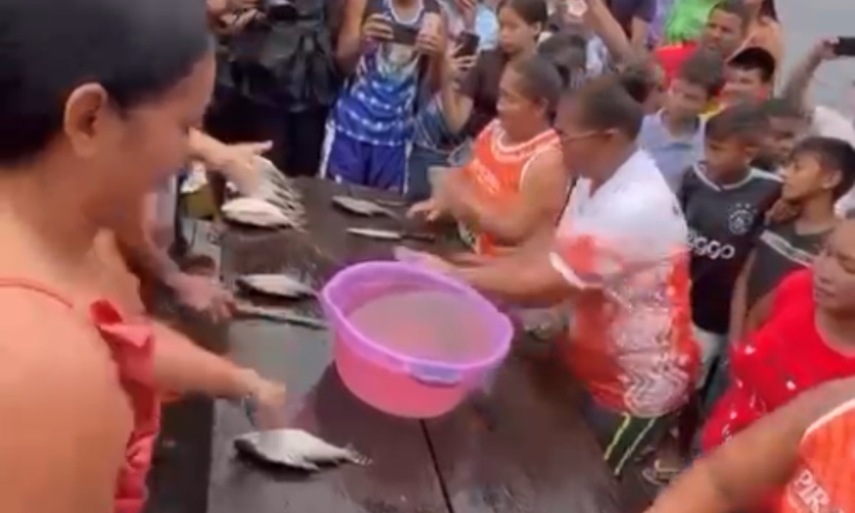 Habilidade Ribeirinha em Foco: Festival do Jaraqui e a Complexidade da Economia Local Amazônica