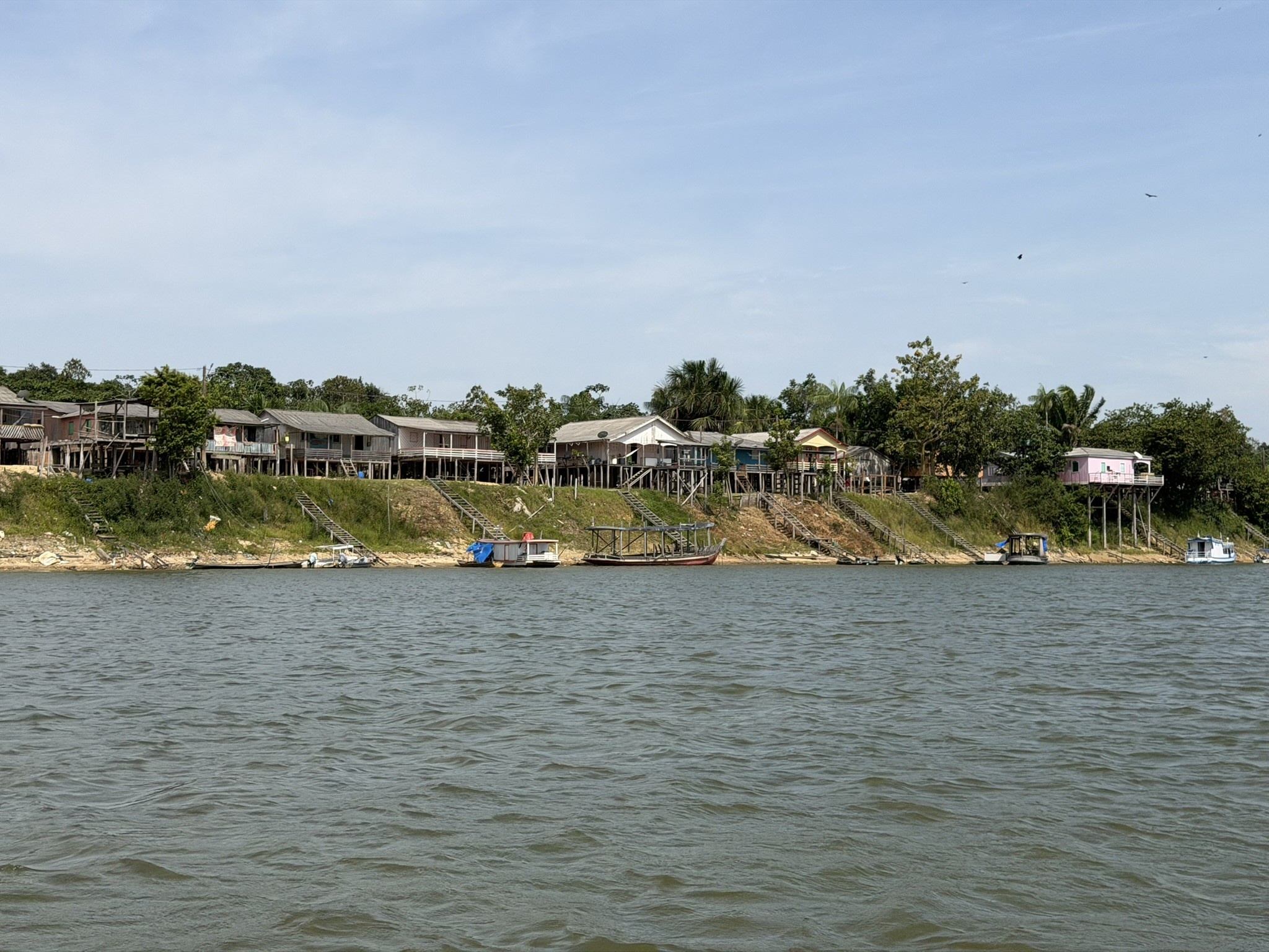 No Coração do Baixo Rio Branco: Como a Comunidade Sacaí Reconfigura a Conservação da Tartaruga-da-Amazônia