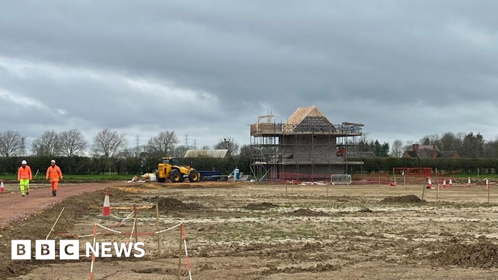 Ciência e Custo: A Análise Profunda dos £166 Mil para Abrigos de Morcegos em Obras Rodoviárias
