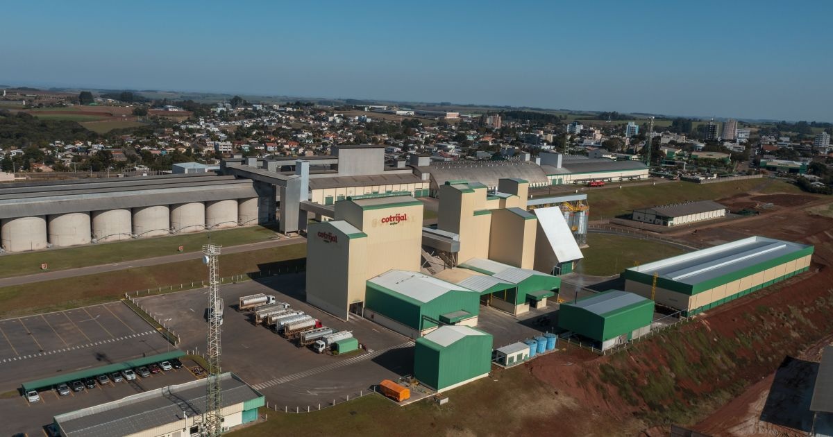 O Crise Silenciosa do Crédito Rural: Por Que o Fôlego das Cooperativas Ameaça a Estabilidade Econômica Geral