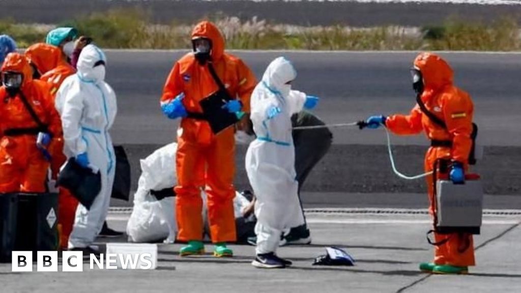 Contenção Global: O Hantavírus no MV Hondius e a Vigilância Sanitária Pós-Pandemia