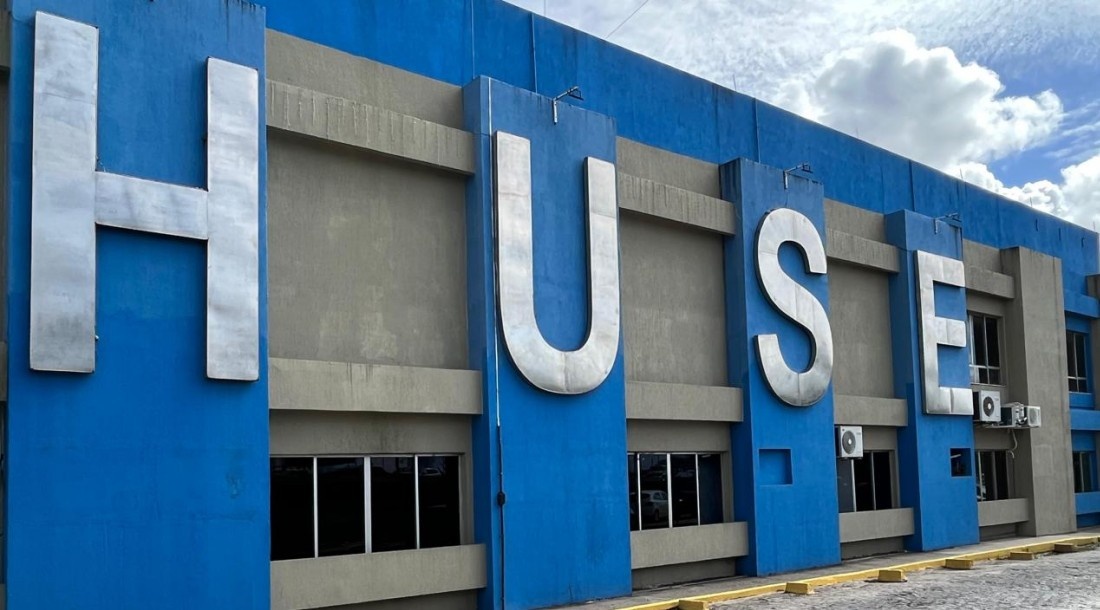 Ataque de Pitbull em Aracaju Reacende Debate Sobre Segurança Urbana e Responsabilidade Canina