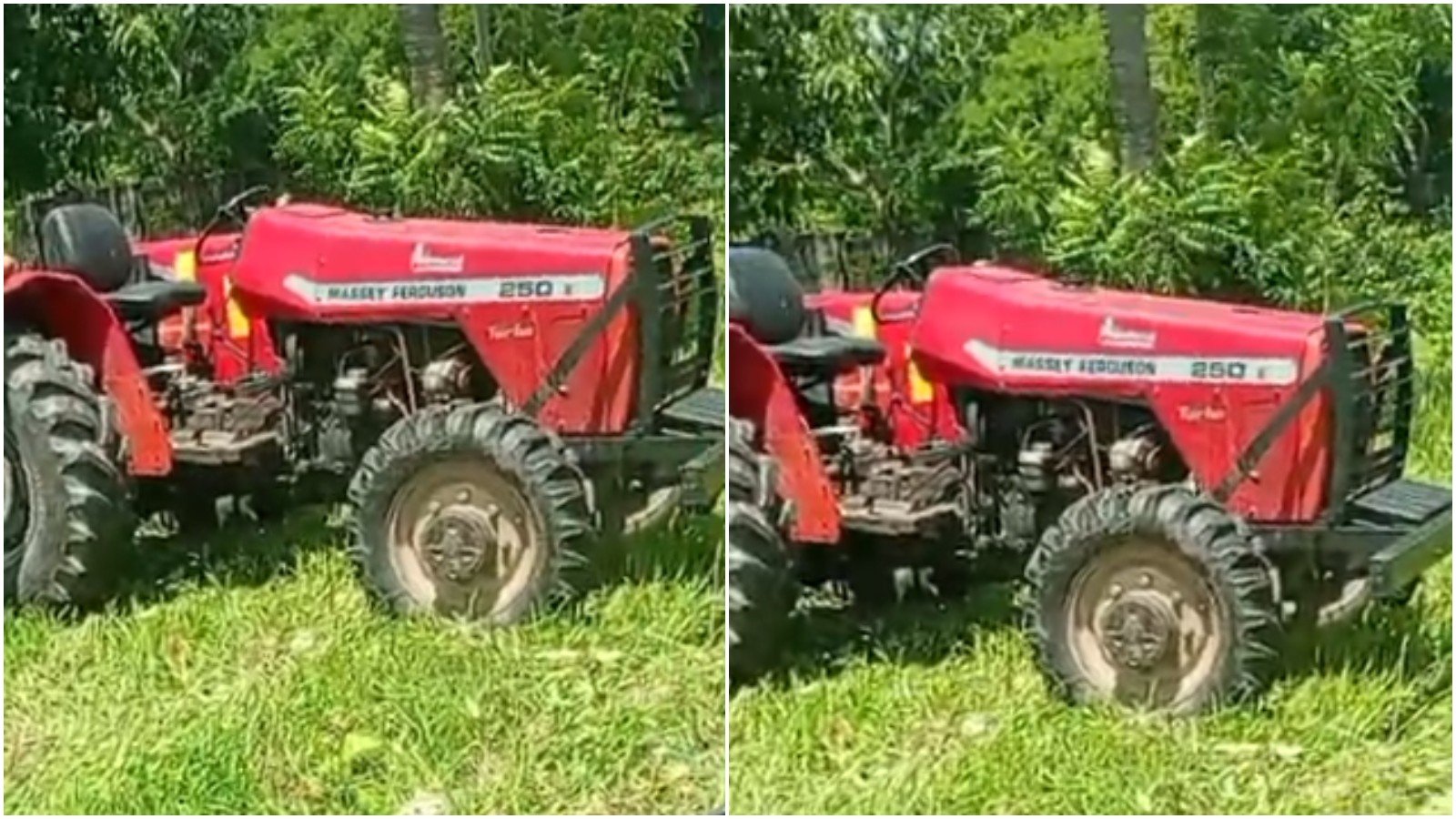 Criança de 11 anos morre após cair de trator e ser atingida por roçadeira em Itaitinga