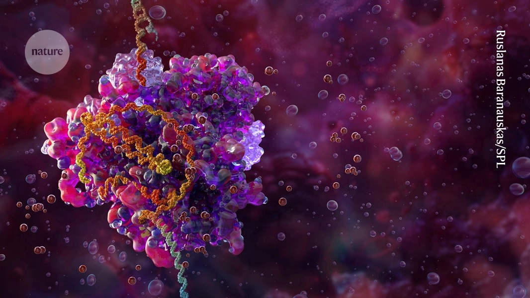 CRISPR: Engenharia de Células CAR-T 'In Vivo' Promete Virada no Combate ao Câncer