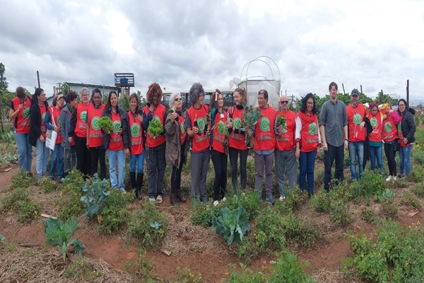 Agroecologia Urbana: A Ciência que Transforma o Concreto em Vitalidade e Soberania Alimentar