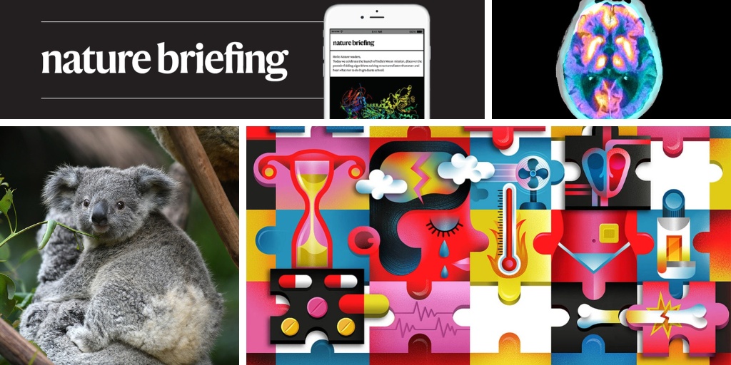 A Crise Silenciosa da Saúde Feminina: Por Que a Ciência Ainda Fracassa em Entender o Corpo da Mulher